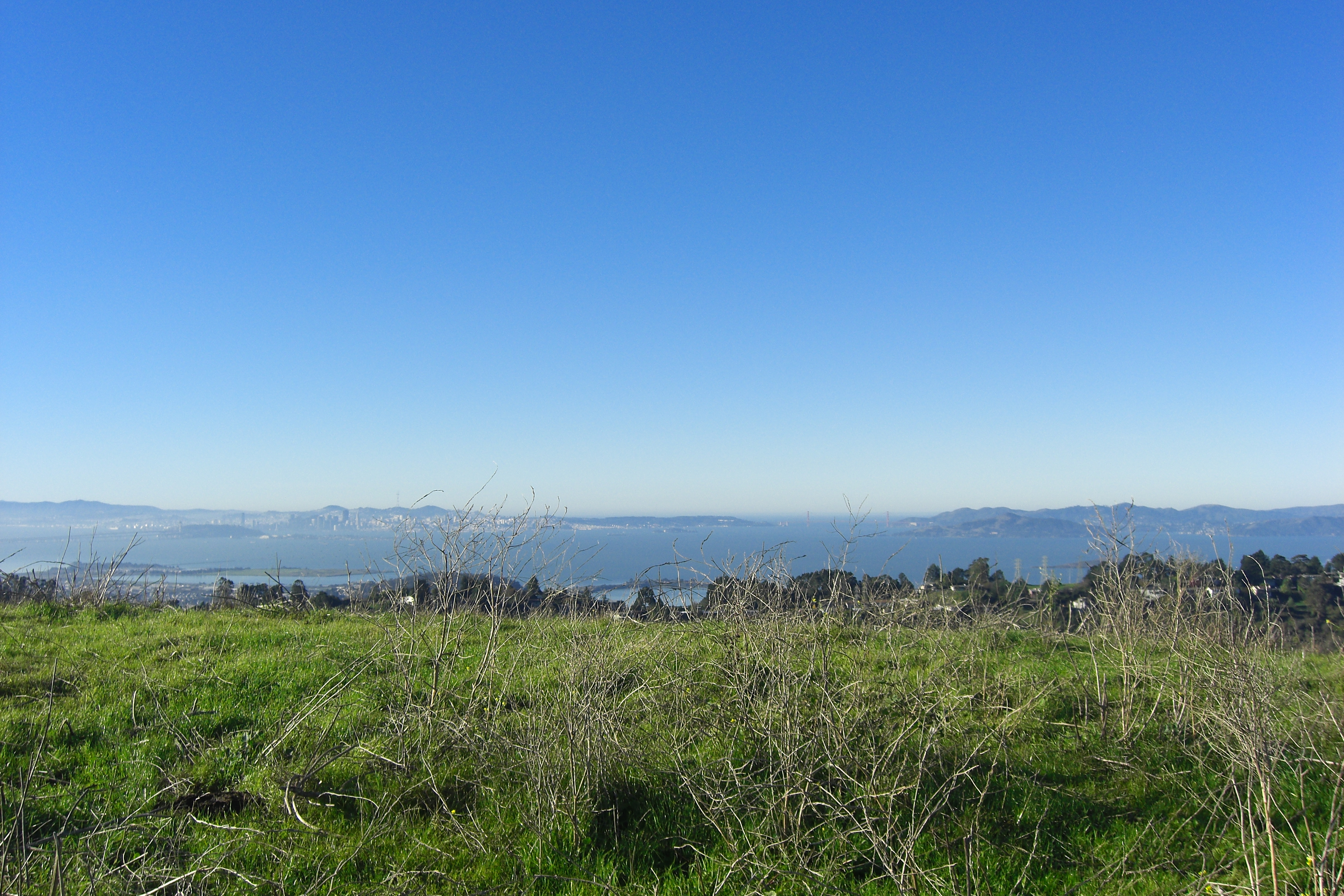 Conlon Point