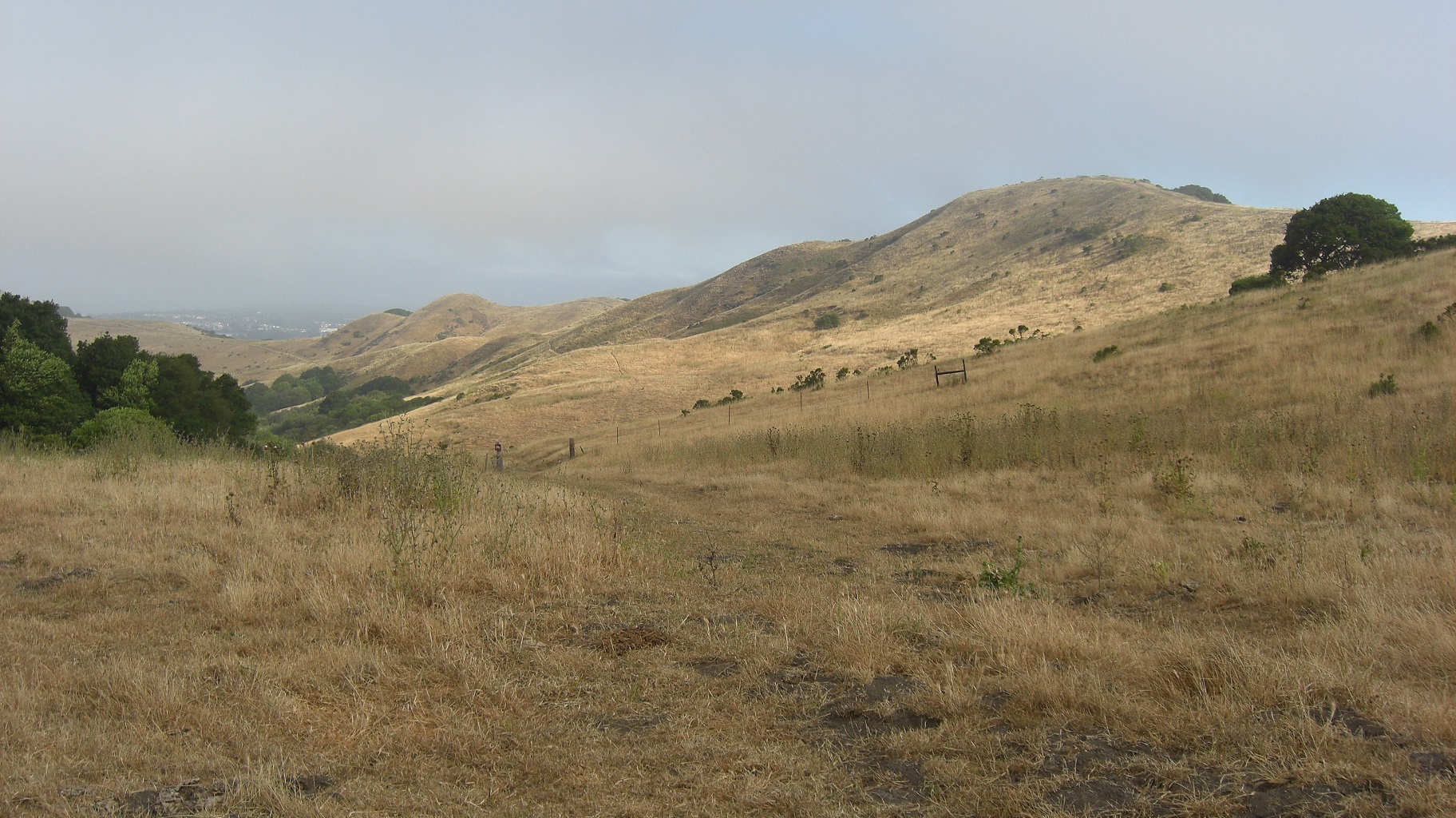 Wildcat Canyon